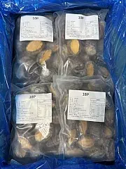 南陽現貨 🎉熟凍大鮑魚（16/18P）✨️（已三去殺青）🎉