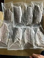 南陽現貨 台灣自產鱸魚菲力（150g/200g）
