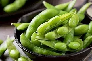 南陽現貨 連鎖餐廳御用～鹽味毛豆