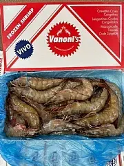 南陽現貨 紅太陽活凍極品白蝦30/40
