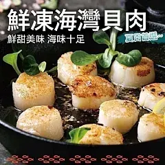 南陽現貨 鮮凍海灣干貝肉2包