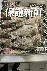 南陽現貨 三去龍虎斑500/600g(01/24)