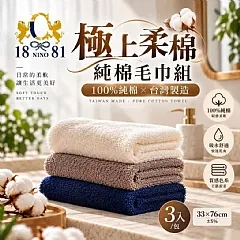 1881 極上柔棉純棉毛巾組