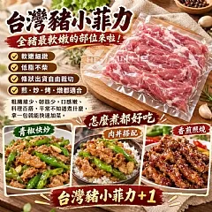 台灣豬小菲力