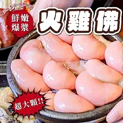 南陽現貨 💥美國火雞佛300g💥